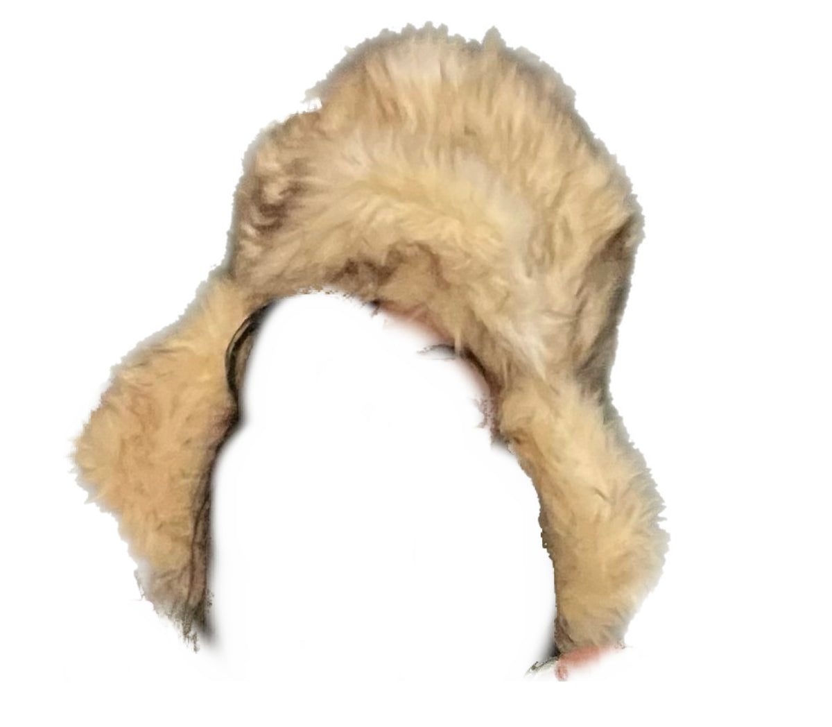 ŁÁBRŸĮŃTH fur trapper